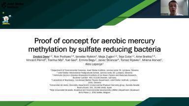 Proof of Concept for Aerobic Mercury Methylation by Sulfate Reducing Bacteria